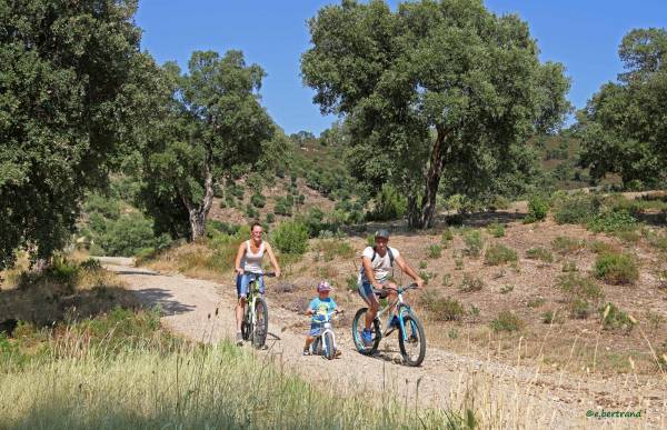 mit dem Bike Unterwegs  im Var